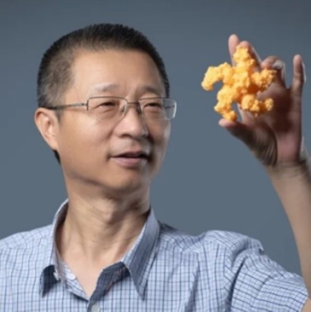大发在线手机版（大中国区）创新论坛第一千六百二十六讲：植物的免疫机制